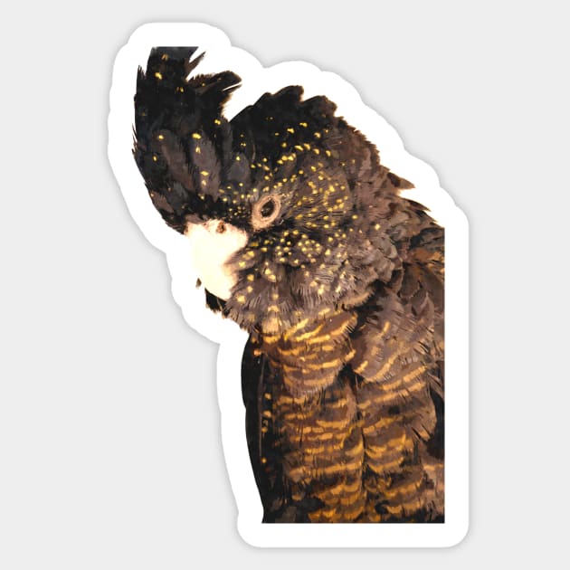 Black Cockatoo Illustration Sticker by Alemi